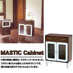 lC Lrlbg }XeBbN MASTIC CABINET 2G1D